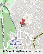 Via della Balduina, 202/C,00136Roma
