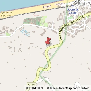 Mappa Strada Statale 89, km.67,800, 71012 Rodi Garganico, Foggia (Puglia)