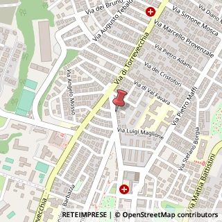 Mappa Via Pietro Gasparri, 76, 00168 Roma, Roma (Lazio)