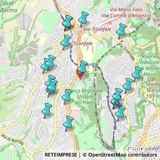 Mappa Via Barbiellini Amidei Bernardo, 00168 Roma RM, Italia (1.204)