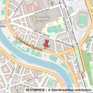 Mappa Lungotevere Flaminio, 46, 00196 Roma, Roma (Lazio)