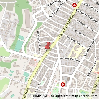 Mappa Via di Torrevecchia, 562, 00168 Roma, Roma (Lazio)