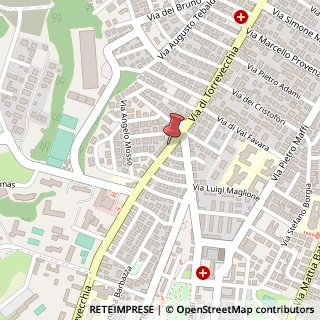 Mappa Via di Torrevecchia, 474, 00168 Roma, Roma (Lazio)