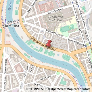 Mappa Lungotevere Flaminio, 55, 00196 Roma, Roma (Lazio)