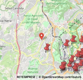 Mappa Largo Cesare Vigna, 00168 Roma RM, Italia (3.76188)