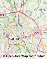 Associazioni Socio-Economiche e Tecniche Roma,00157Roma