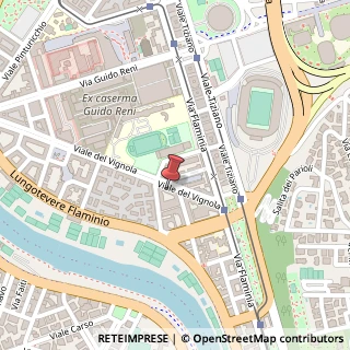 Mappa Viale del Vignola, 61, 00196 Roma, Roma (Lazio)