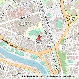 Mappa Viale del Vignola, 63, 00196 Roma, Roma (Lazio)