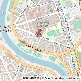 Mappa Viale del Vignola, 77, 00196 Roma, Roma (Lazio)