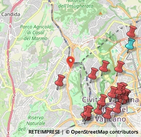 Mappa Via Pineta Sacchetti, 00168 Roma RM, Italia (3.1105)