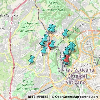 Mappa Via Pineta Sacchetti, 00168 Roma RM, Italia (1.45353)