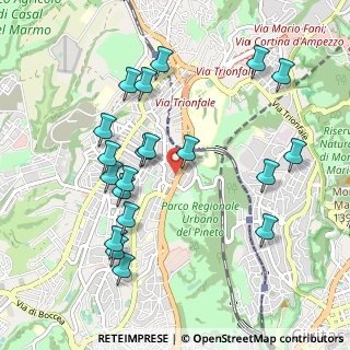 Mappa Via Pineta Sacchetti, 00168 Roma RM, Italia (1.0975)