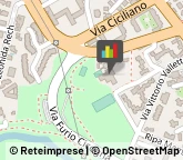 Scuole Pubbliche Roma,00156Roma
