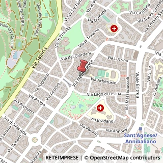 Mappa Via nemorense 110, 00199 Roma, Roma (Lazio)