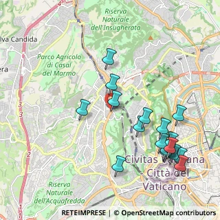 Mappa Via della Pineta Sacchetti, 00168 Roma RM, Italia (2.39824)