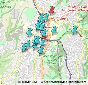 Mappa Via la Nebbia, 00168 Roma RM, Italia (0.7345)