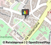 Associazioni Culturali, Artistiche e Ricreative,00199Roma