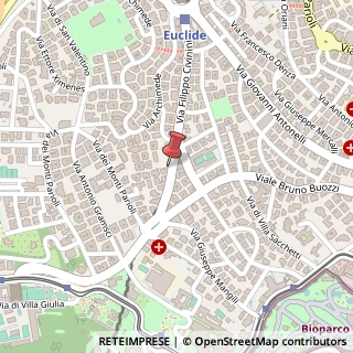 Mappa Via Luigi Luciani, 45, 00197 Roma, Roma (Lazio)