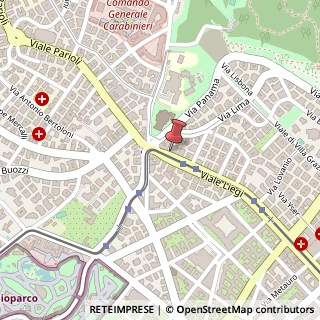 Mappa Viale Liegi, 62, 00198 Roma, Roma (Lazio)