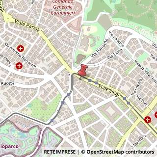 Mappa Viale Liegi, 45, 00198 Roma, Roma (Lazio)