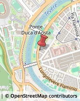 Lungotevere Flaminio, 76,00100Roma