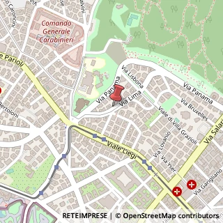 Mappa Via Lima, 19, 00198 Roma, Roma (Lazio)