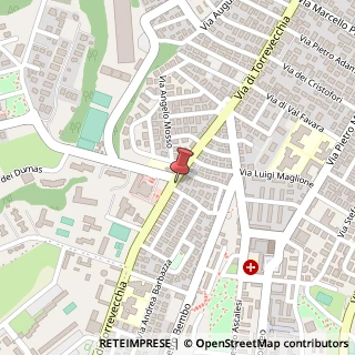 Mappa Via di Torrevecchia, 577, 00168 Roma, Roma (Lazio)