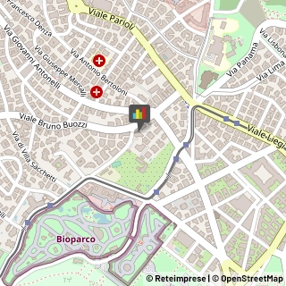 Uniformi e Divise,00197Roma