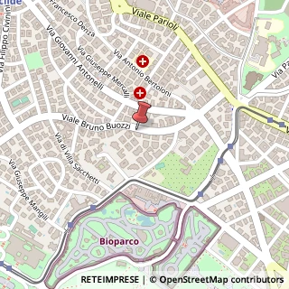 Mappa Viale Bruno Buozzi, 21, 00197 Roma, Roma (Lazio)