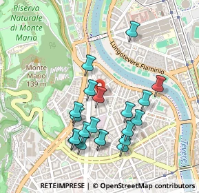 Mappa Via Euclide Turba, 00195 Roma RM, Italia (0.485)
