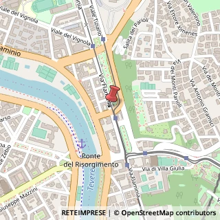 Mappa Via Flaminia, 195, 00196 Roma, Roma (Lazio)