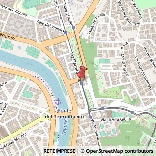 Mappa Via Flaminia, 189, 00196 Roma, Roma (Lazio)
