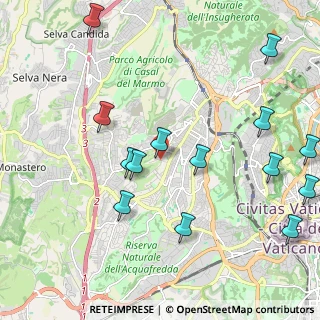 Mappa Via dei Casali di Torrevecchia, 00168 Roma RM, Italia (2.62071)
