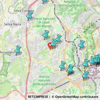 Mappa Via dei Casali di Torrevecchia, 00168 Roma RM, Italia (3.221)