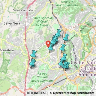 Mappa Via dei Casali di Torrevecchia, 00168 Roma RM, Italia (1.54933)