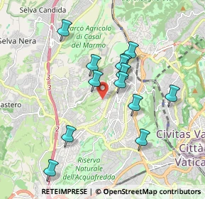 Mappa Via dei Casali di Torrevecchia, 00168 Roma RM, Italia (1.75846)