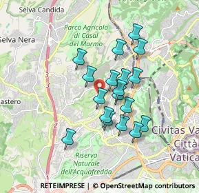 Mappa Via dei Casali di Torrevecchia, 00168 Roma RM, Italia (1.46722)