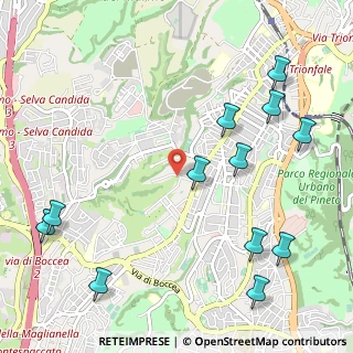 Mappa Via dei Casali di Torrevecchia, 00168 Roma RM, Italia (1.44)