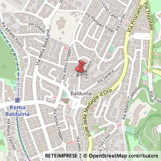 Mappa Via Festo Avieno, 47, 00136 Roma, Roma (Lazio)