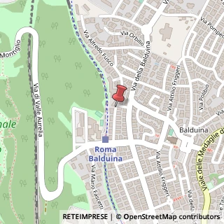 Mappa Via Romeo Rodriguez Pereira,  264, 00136 Roma, Roma (Lazio)