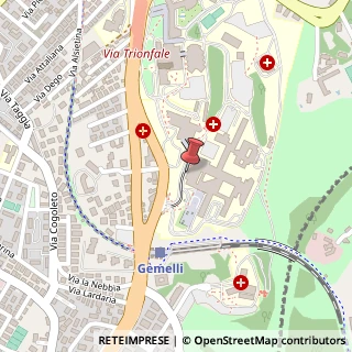 Mappa Largo Agostino Gemelli, 8, 00168 Roma, Roma (Lazio)