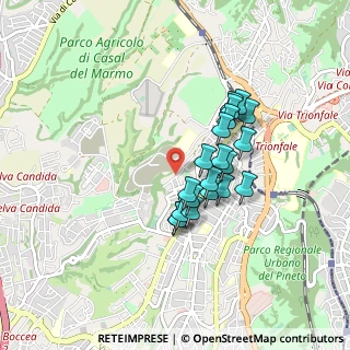 Mappa Via Francesco Bonfiglio, 00168 Roma RM, Italia (0.722)