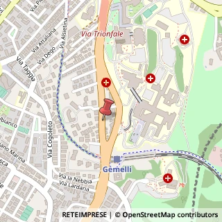 Mappa Via della Pineta Sacchetti, 229, 00168 Roma, Roma (Lazio)