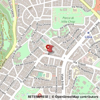 Mappa Via Nemorense, 151, 00199 Roma, Roma (Lazio)