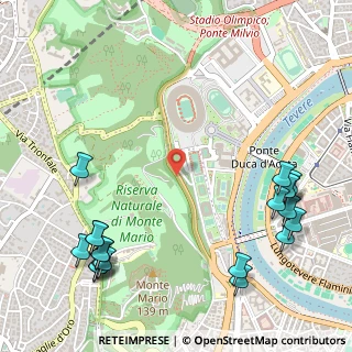 Mappa Viale dello Stadio Olimpico, 00135 Roma RM, Italia (0.785)