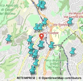Mappa Via Castelbianco, 00168 Roma RM, Italia (1.103)