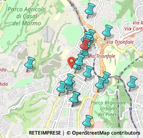 Mappa Via Serafino Biffi, 00168 Roma RM, Italia (0.91)