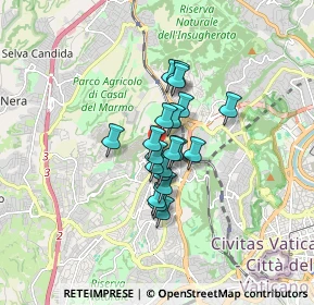 Mappa Via Serafino Biffi, 00168 Roma RM, Italia (1.1005)