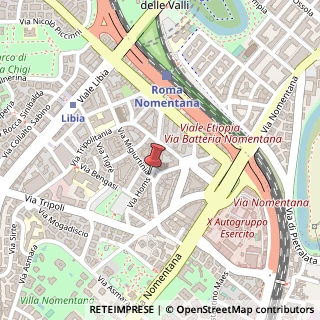 Mappa Piazza elio callistio 17/a, 00199 Roma, Roma (Lazio)