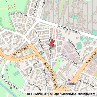 Mappa Via selmi francesco 4, 00156 Roma, Roma (Lazio)